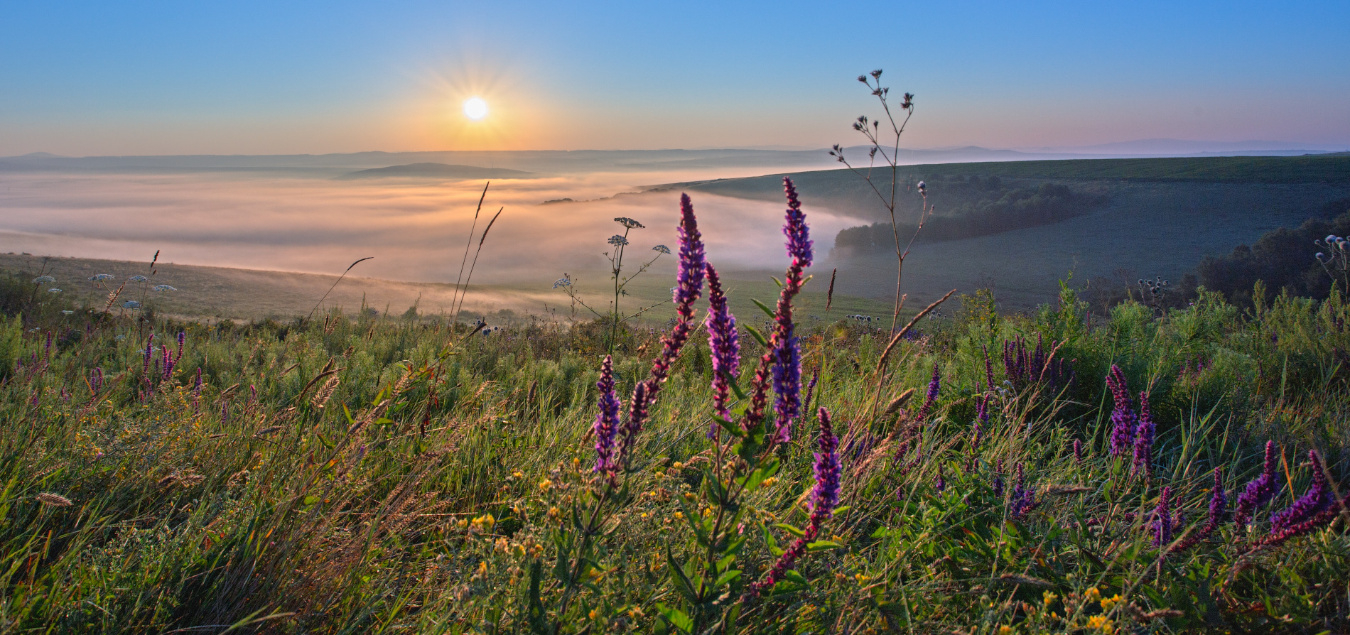 По утренней росе