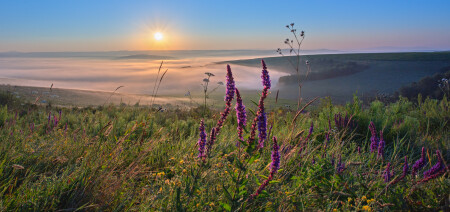 По утренней росе