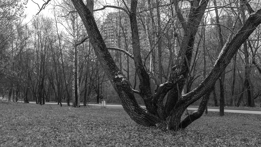 Осенний Сюжет