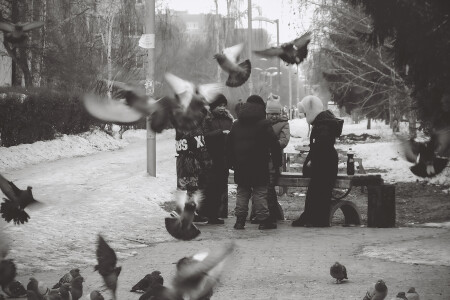 Голуби детства