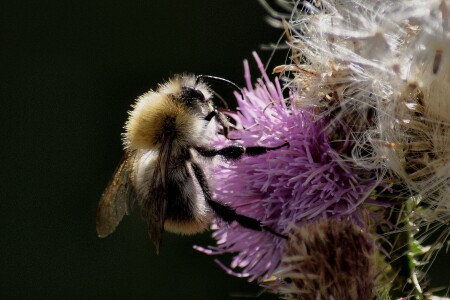 Свет и тьма