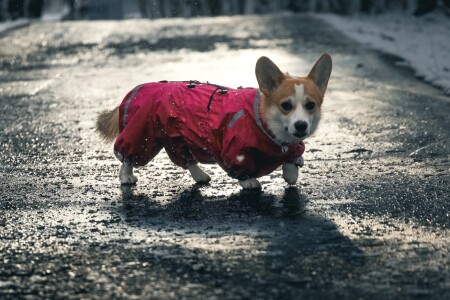 Найди сердечко