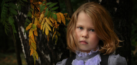 Рябина моя старая подружка.