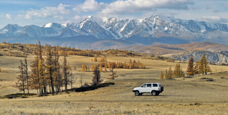 золото Алтая