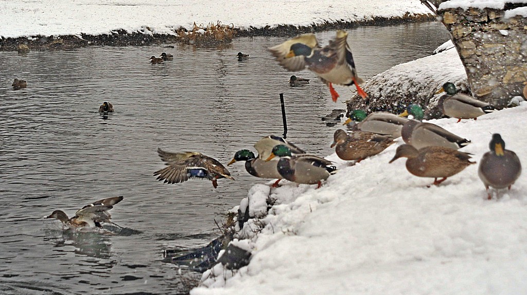 Атаааас... ))