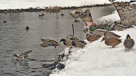 Атаааас... ))