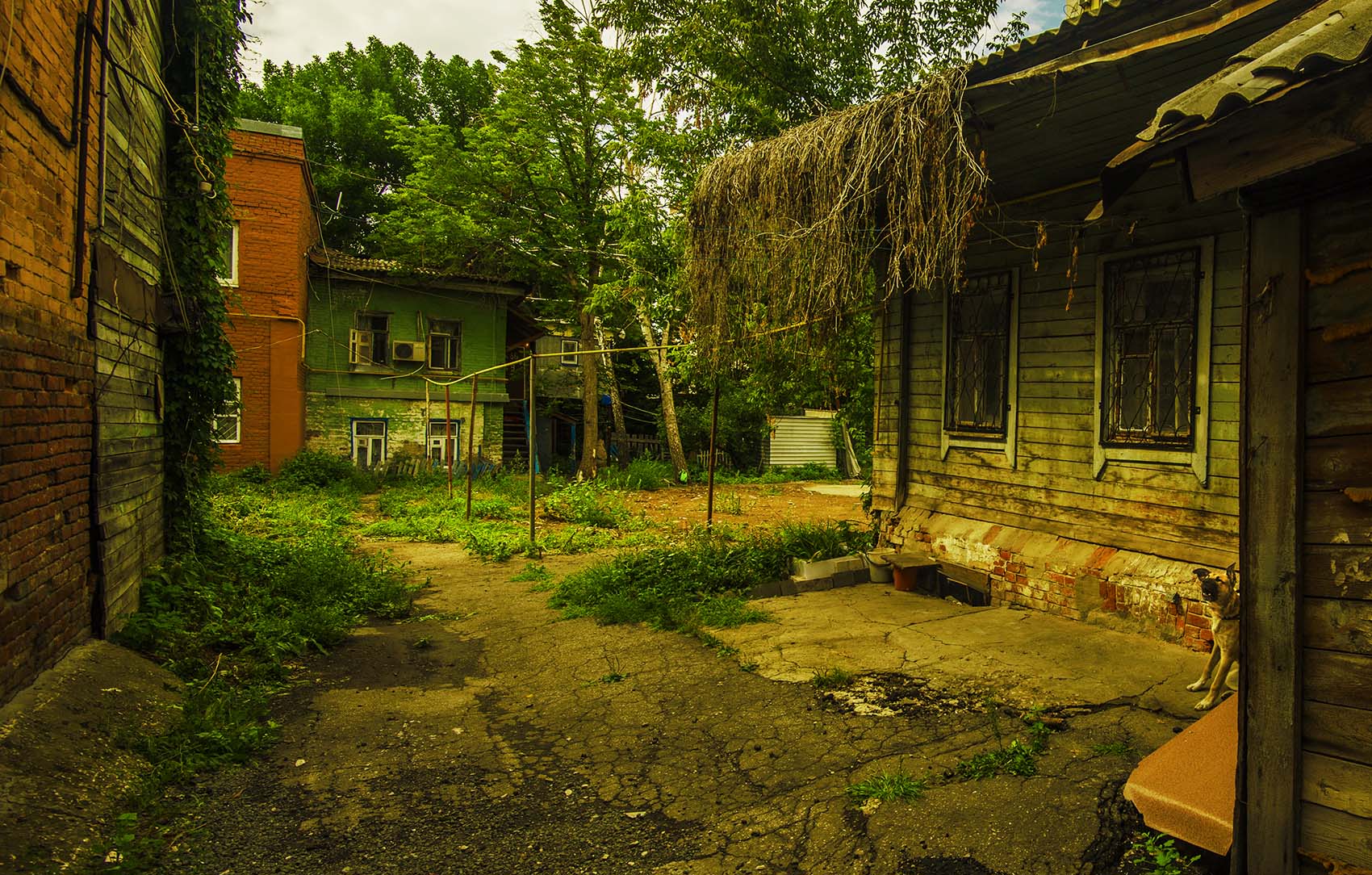 Старый двор с собакой