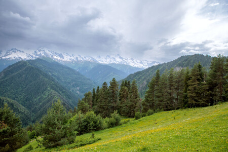 Горная Сванетия . Грузия.