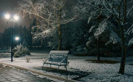 Первый снег