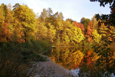 Ах, эта осень!