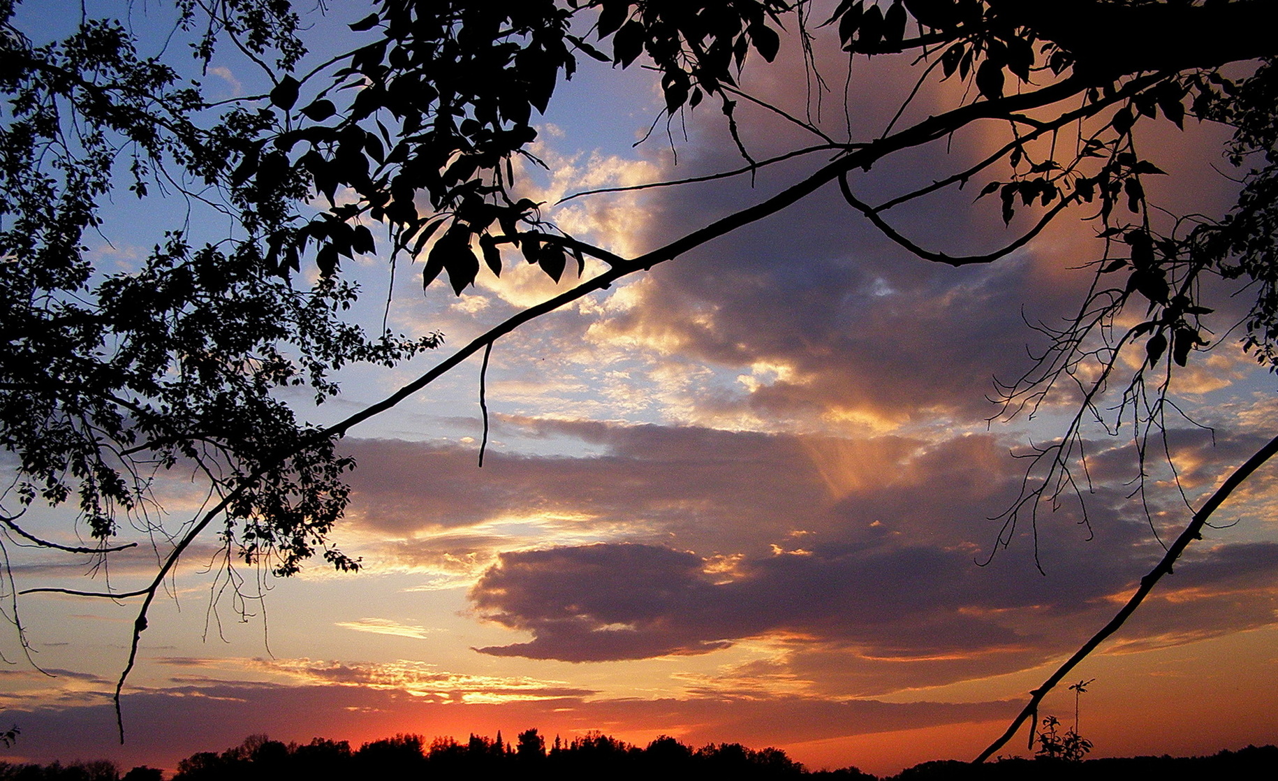 И небо расцвело!