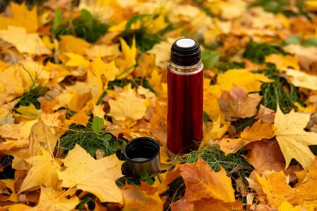 Тепло осени 