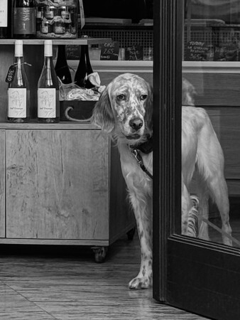 Ну и тоска же тут…