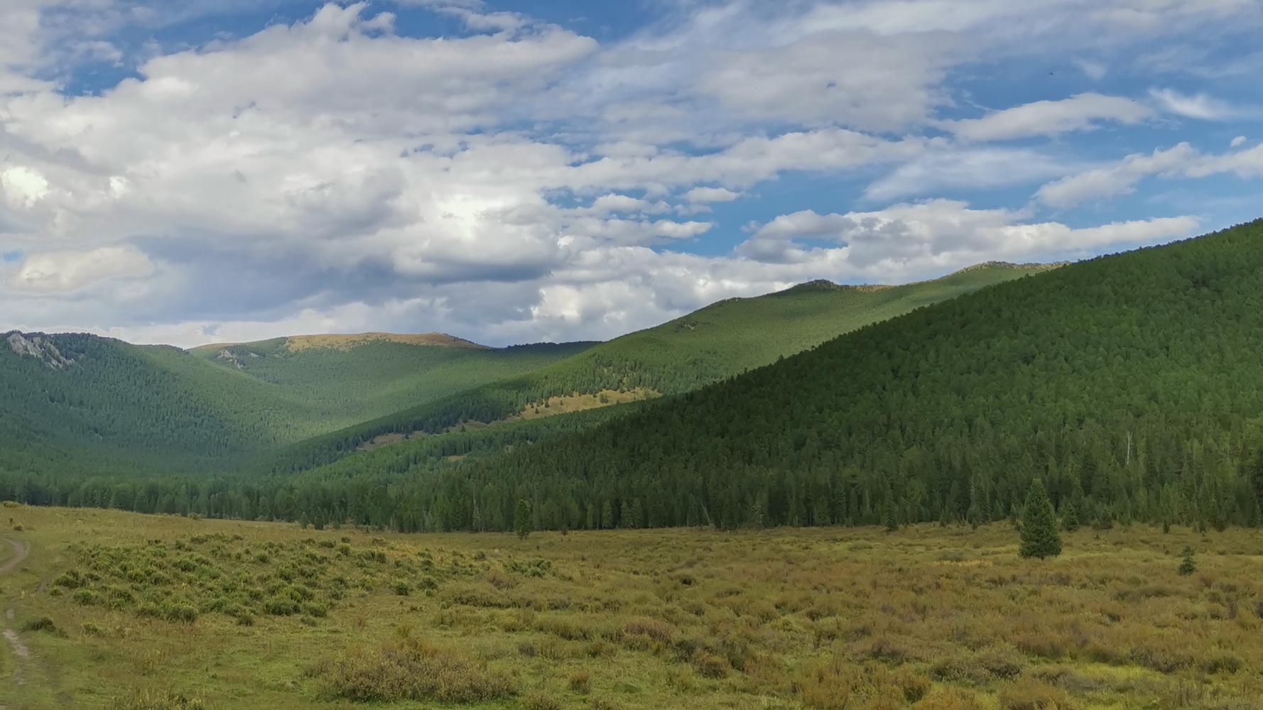 кедровые склоны