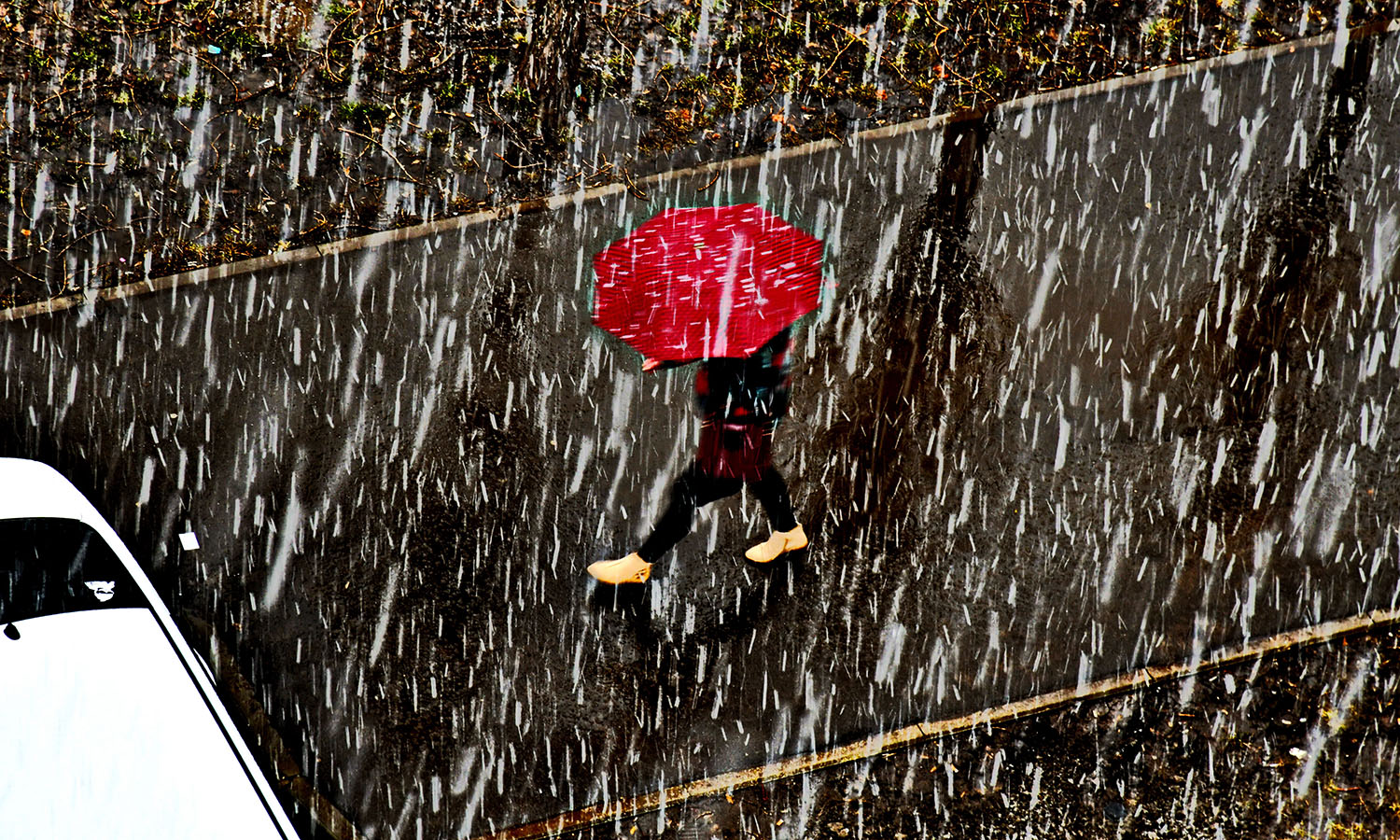 Первый снежок.