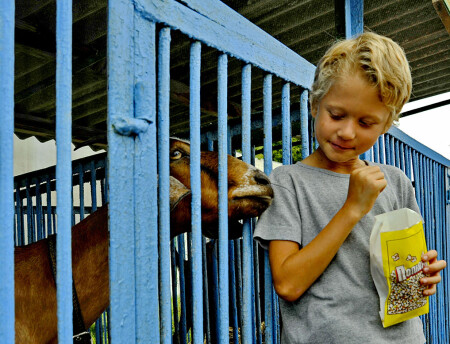 Я тоже хочу.