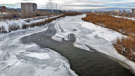 Черная вода