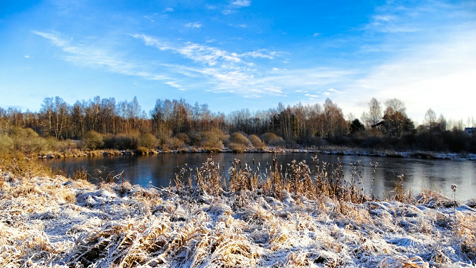 Природа Смоленщины 