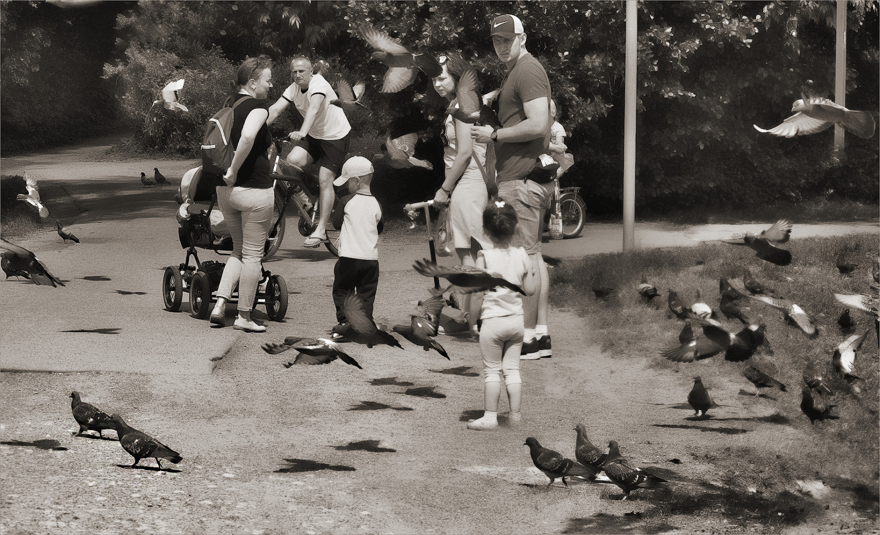 Летите голуби...