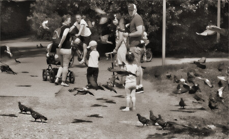 Летите голуби...