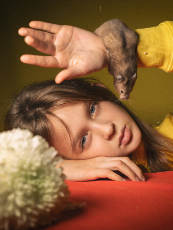 Палитра любопытства