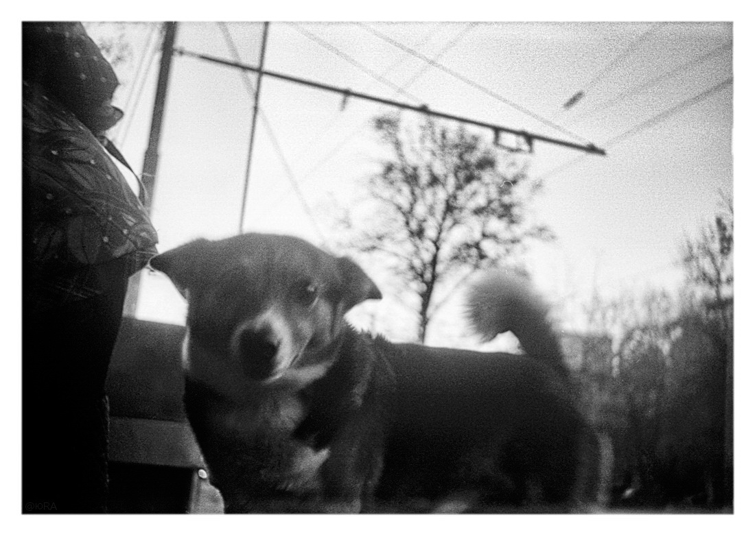 Кто ты? Што ты такое?