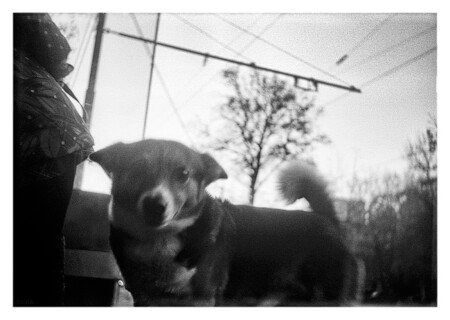 Кто ты? Што ты такое?