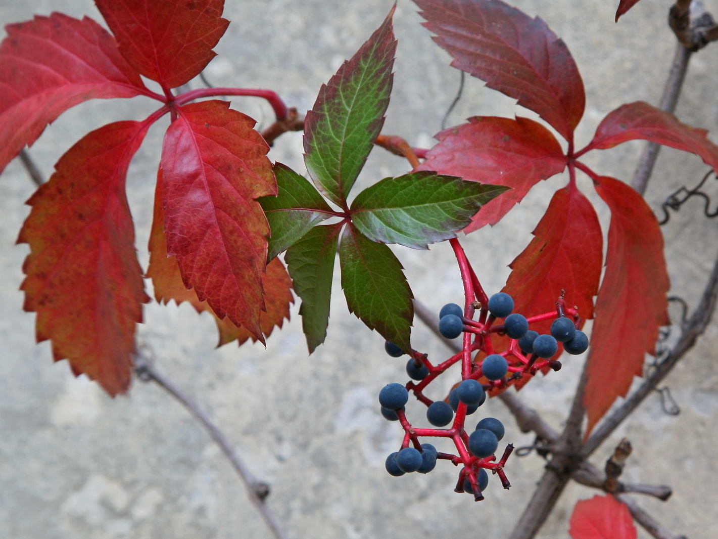 Спокойствие красок...