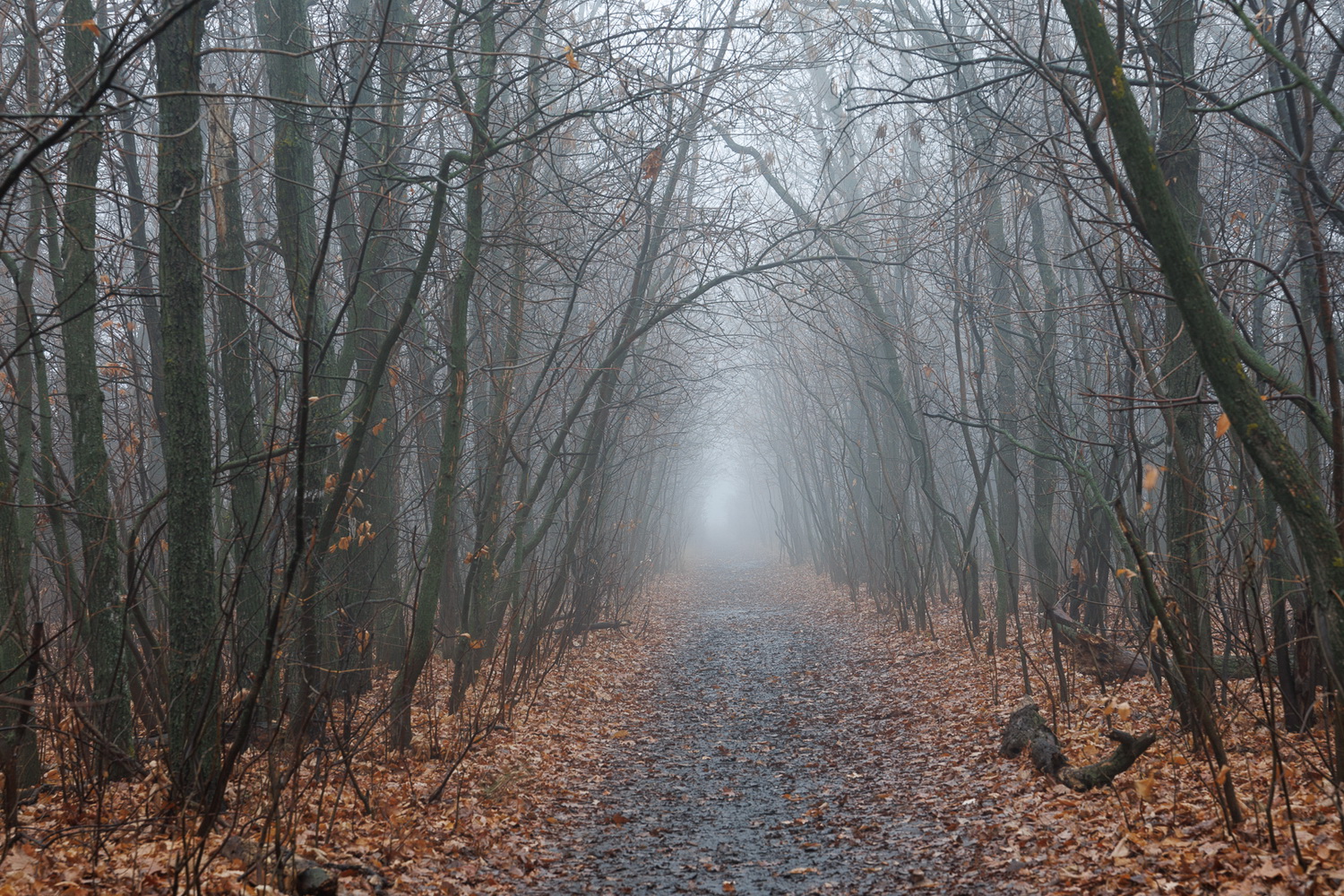 Кончается осень