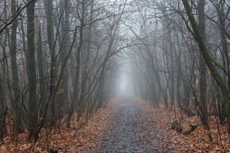 Кончается осень