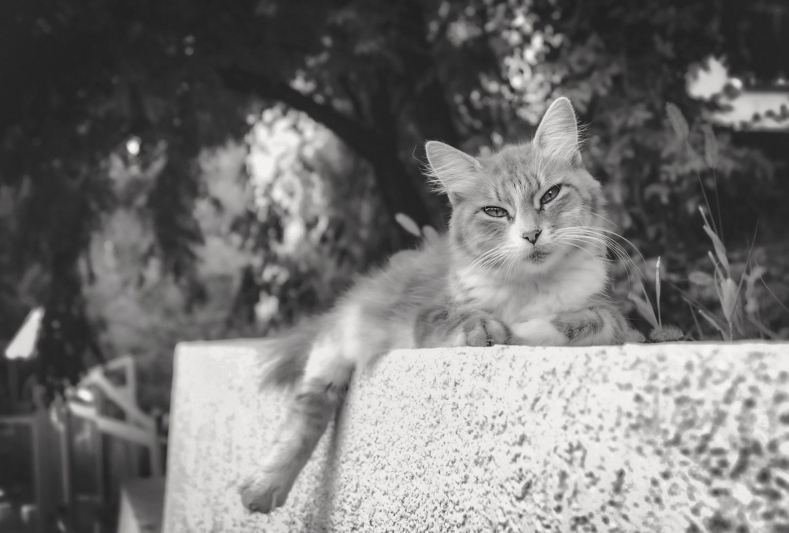 Ну, лежу и лежу