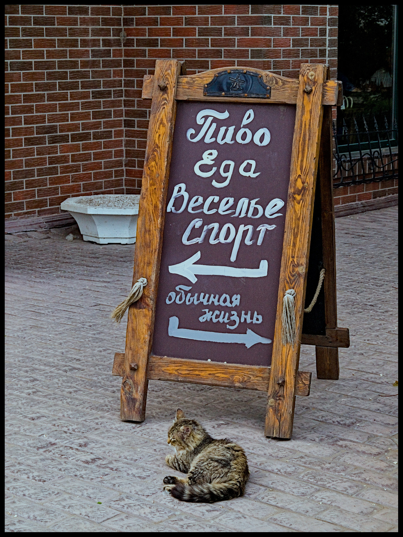 Перед выбором