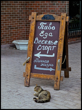 Перед выбором