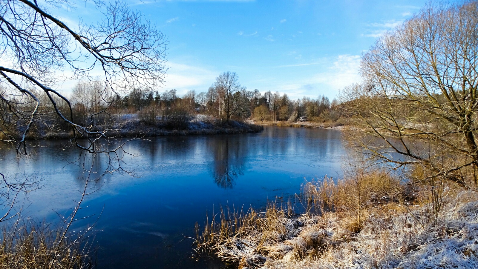 Природа Смоленщины 