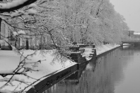 Сад скульптур_Михайловский сад_набережная реки Мойки_СПб_2025_11_24