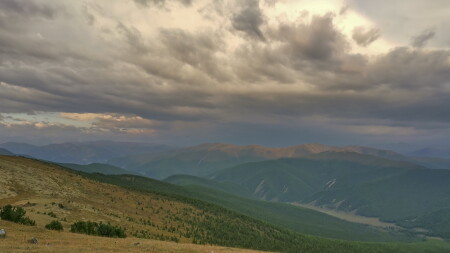 утро после дождичка