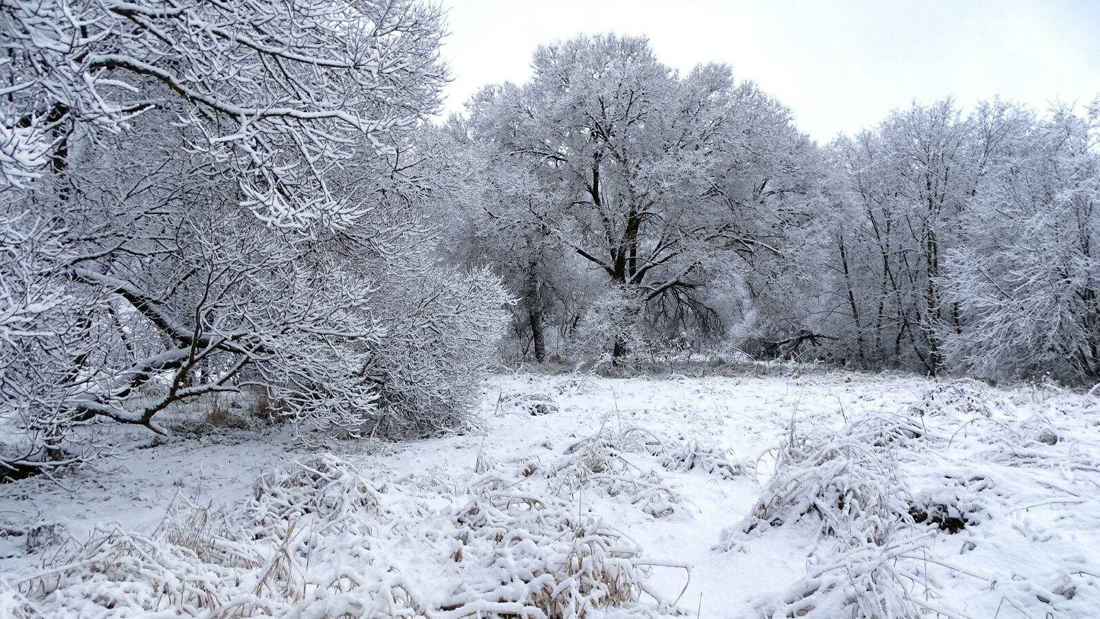 Природа Смоленщины 