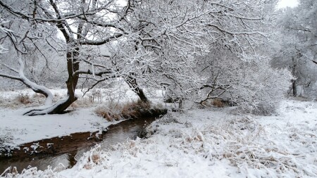 Природа Смоленщины 