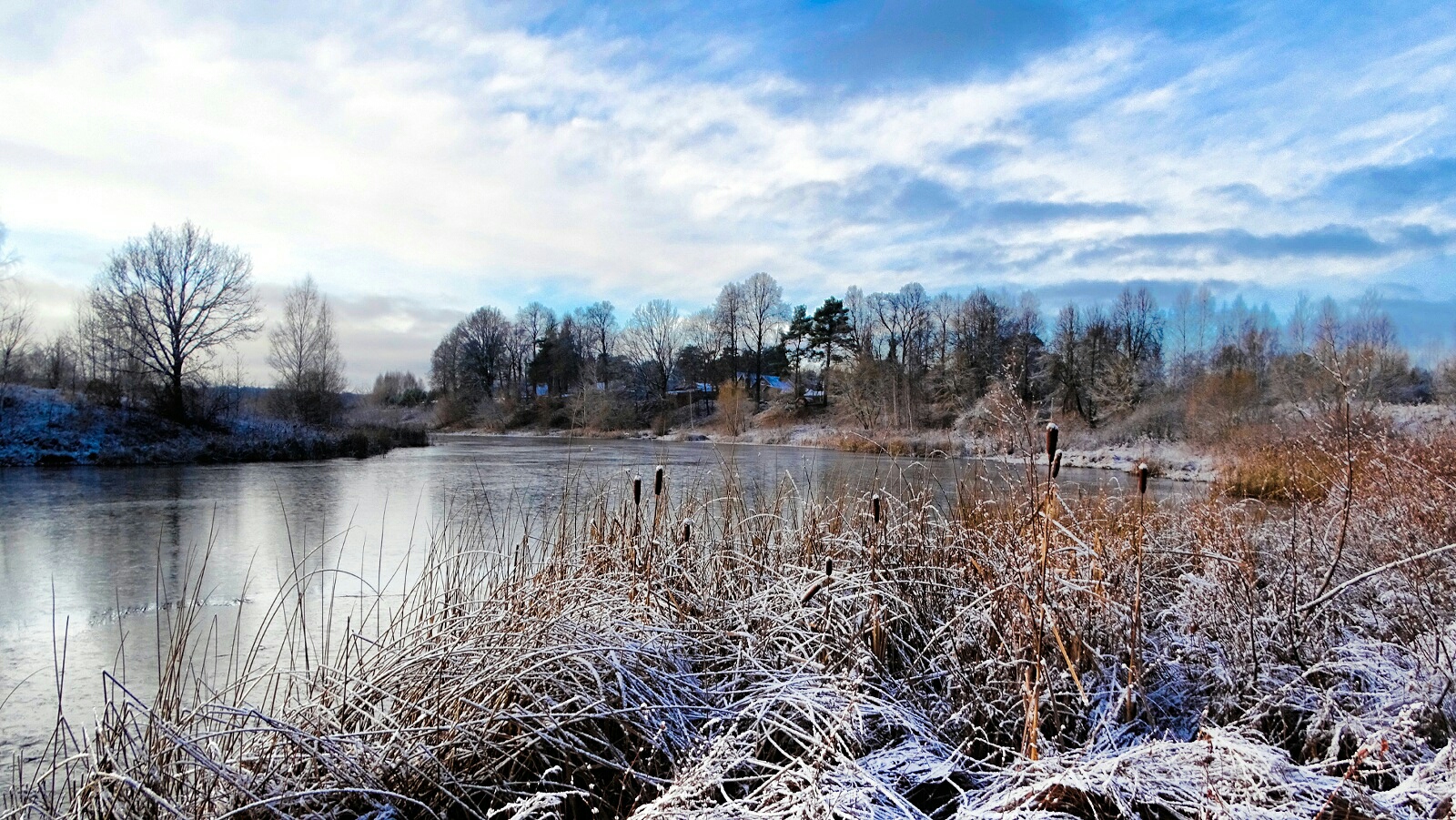 Природа Смоленщины 