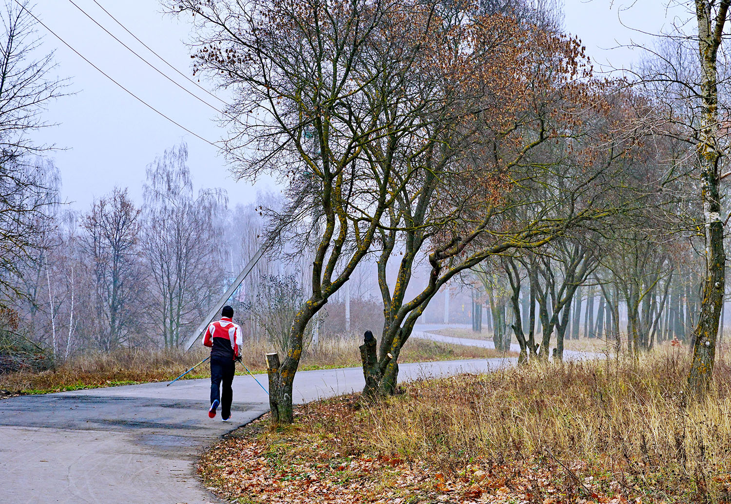 Утренняя пробежка.