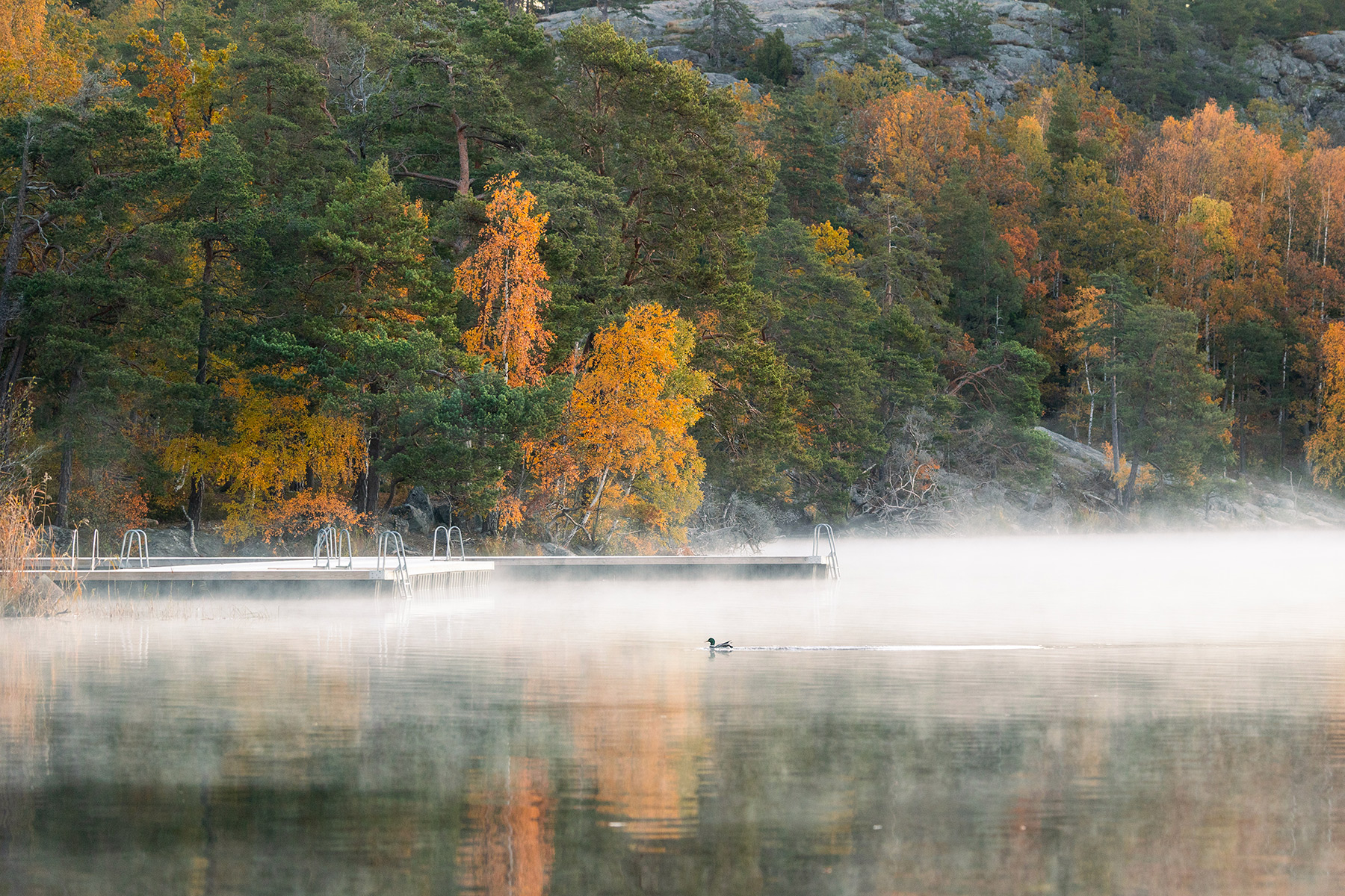 Место для плавания