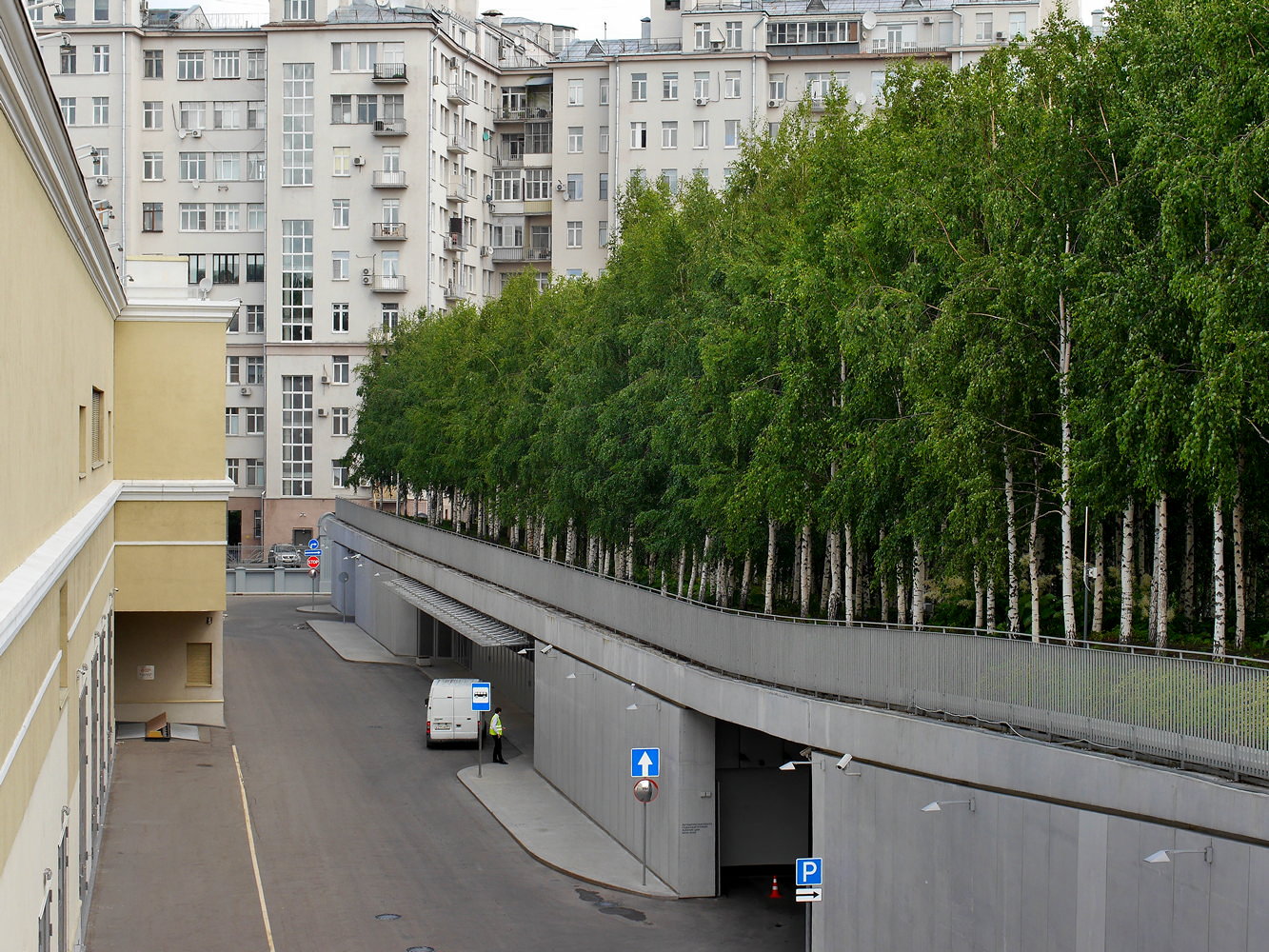 Берёзовая роща