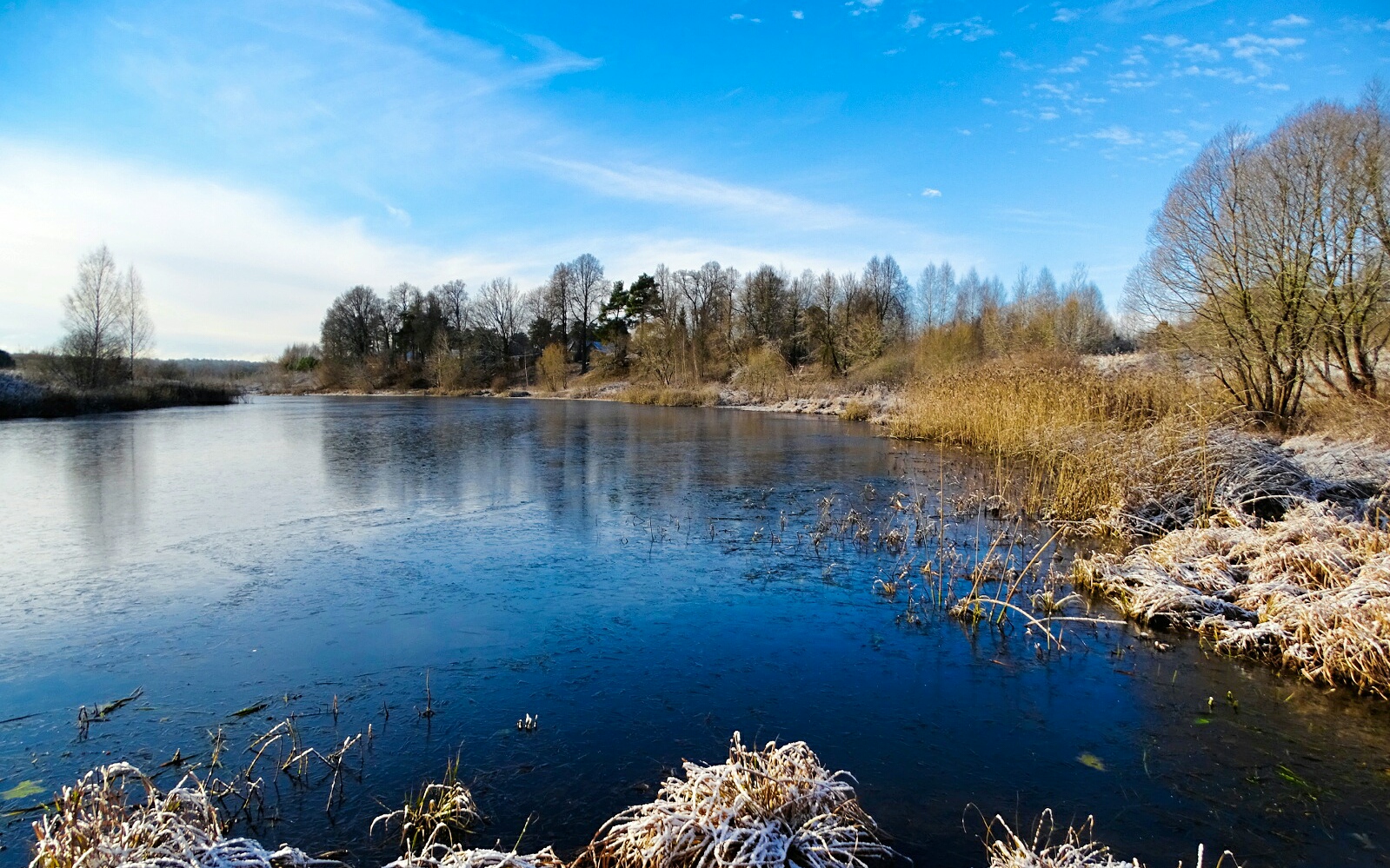 Природа Смоленщины 