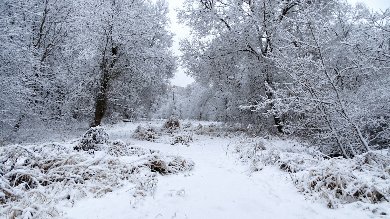 Природа Смоленщины 