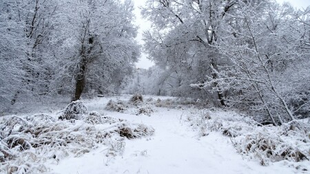 Природа Смоленщины 