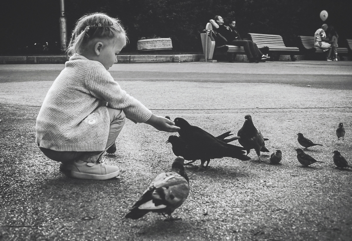 Ну-ка, детки, встаньте в ряд