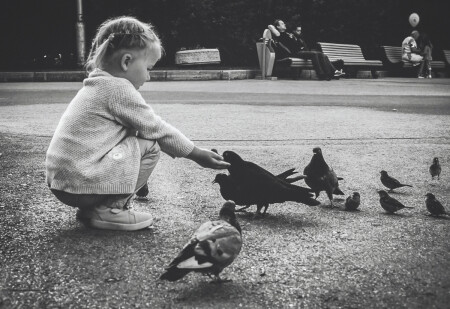 Ну-ка, детки, встаньте в ряд