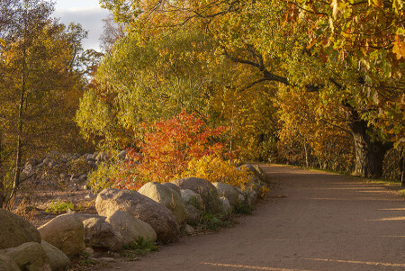 Осень в парке