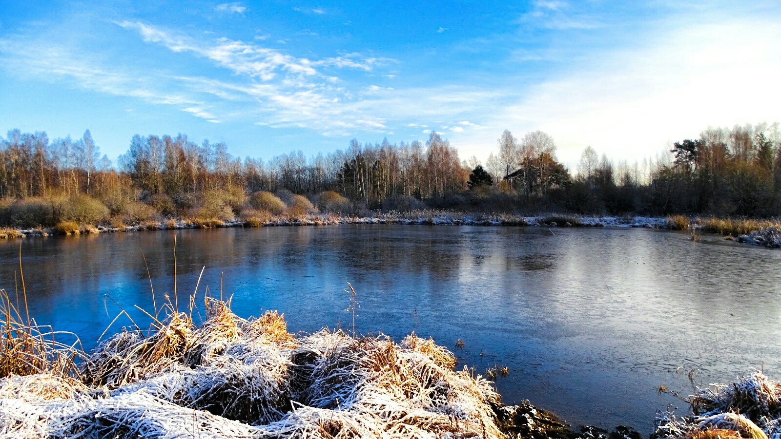 Природа Смоленщины 