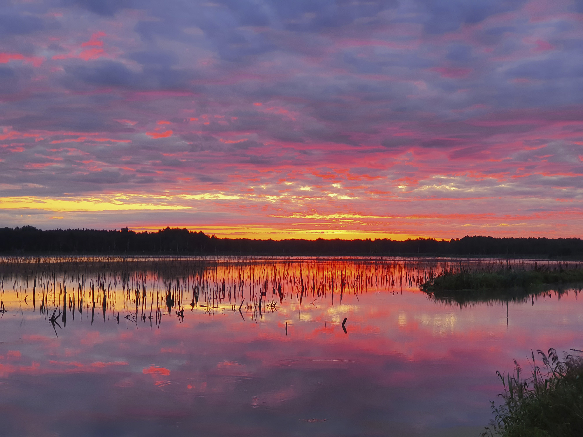 Зорька в переславле.